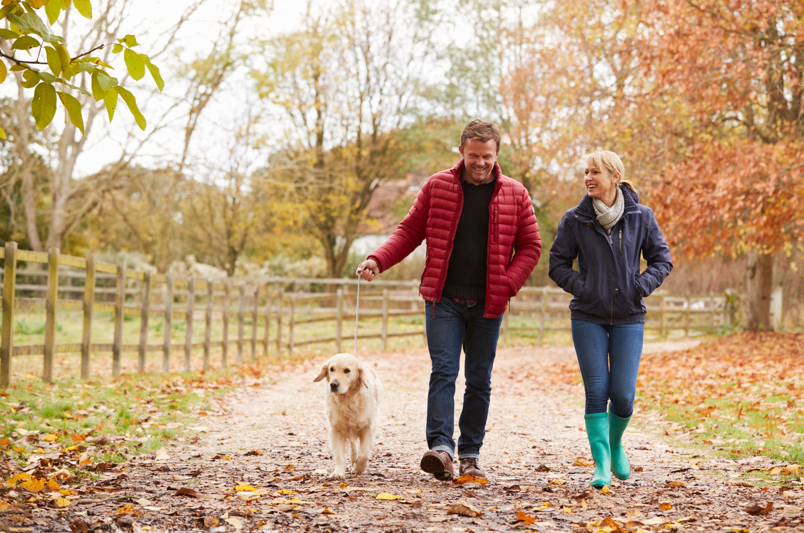 Couple out for an autumnal walk with their dog