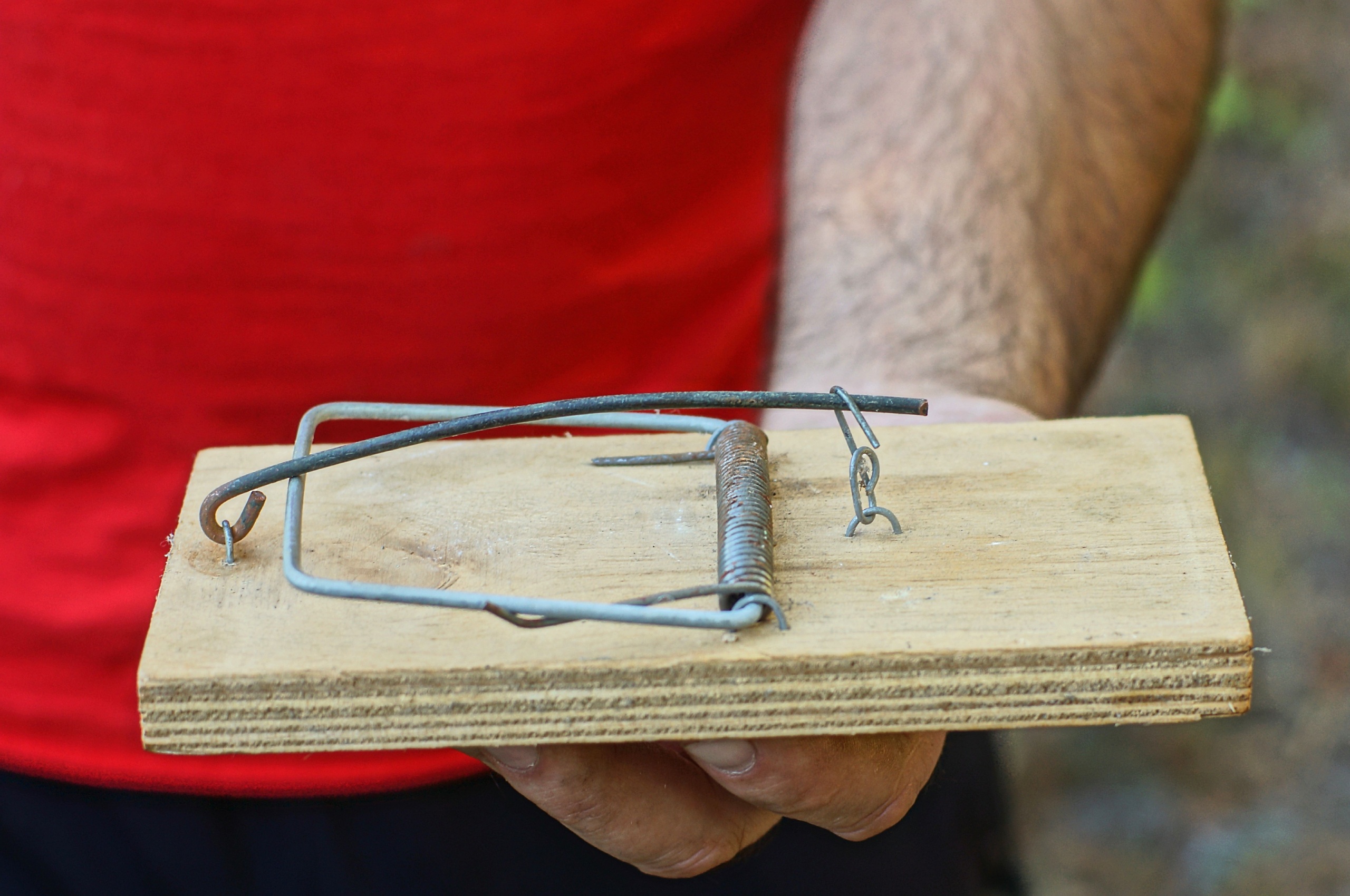 Close up of a man’s hand holding a mouse trap